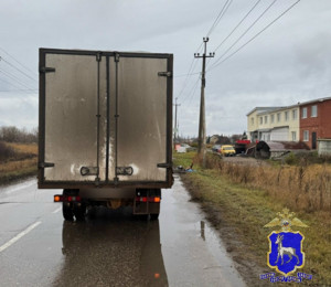 Пешеход находился на проезжей части дороги без цели ее перехода.