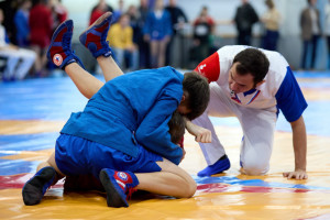 Несколько сотен самбистов, юношей и девушек, провели поединки в различных категориях. Турнир прошел в самарском спорткомплексе «Маяк».
