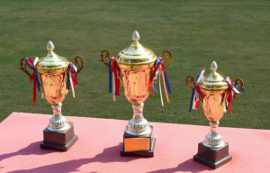 Тольяттинки стали призерами чемпионата мира по тхэквондо