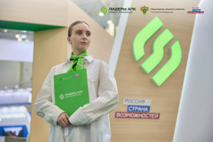 Это масштабный проект, объединивший 7 594 участника из 89 регионов России и 11 зарубежных стран.