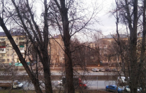 В Самаре без осадков, до +8°С. Ночью на дорогах местами гололедица.