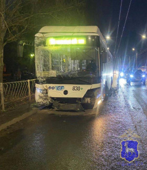 В результате аварии пострадали два пассажира. Они госпитализированы.
