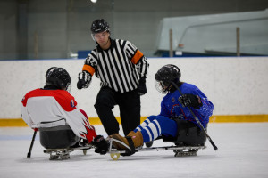 Проведение соревнований по следж-хоккею активно способствует физической реабилитации и социальной адаптации детей с инвалидностью.