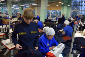 Проведение учебно-методических сборов способствует повышению профессионального уровня сотрудников, ответственных за организацию труда осуждённых, и обеспечивает единый подход к реализации реабилитационного потенциала производственной деятельности в пените