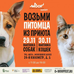29 и 30 ноября в Самаре пройдет WOOF FEST - фестиваль любви к животным