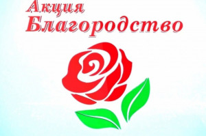 В Самарской области подведены итоги XXVIII областной общественной Акции «Благородство»