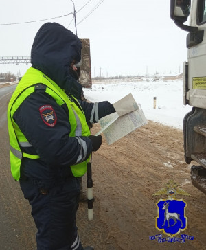 В Большечерниговском районе иностранный дальнобойщик, уже лишённый прав, вновь сел за руль