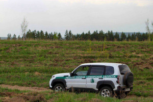 Не имеет значения, молодое дерево или старое. Нарушитель не только привлекается к ответственности, но и возмещает ущерб.