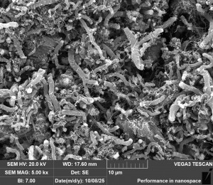 Исследование позволит существенно упростить и удешевить синтез веществ, стратегически важных для нашей промышленности. 