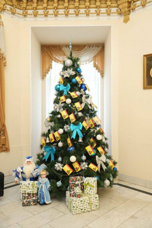 В Самаре стартовала традиционная Всероссийская новогодняя акция «Елка желаний»