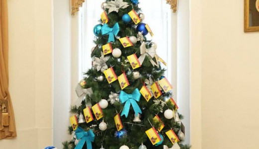 В Самаре стартовала традиционная Всероссийская новогодняя акция «Елка желаний»