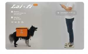 Бездомные собаки в Екатеринбурге теперь раздают Wi-Fi