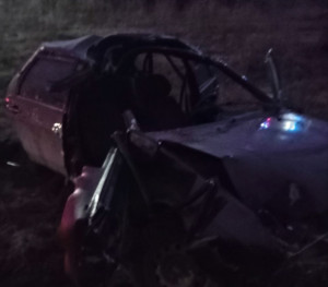 К несчастью, пострадал пассажир автомобиля, он госпитализирован. К сожалению, животное погибло.