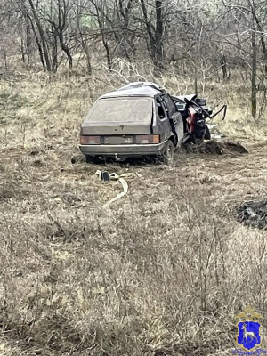 В Волжском районе водитель рано утром сбил лося