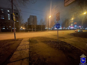 Водитель сбил пешехода в Автозаводском районе Тольятти