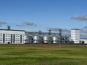 Национальный рейтинг — инструмент, позволяющий определить наиболее инвестиционно привлекательные особые экономические зоны, обеспечивающие инвесторам оптимальные условия для реализации проектов: в кратчайшие сроки, с минимальными издержками и в соответств