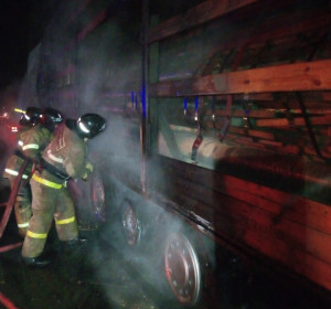 К месту происшествия прибыл расчет пожарно-спасательной части в составе 5 человек, бригада скорой медицинской помощи и сотрудники территориальной Госавтоинспекции.