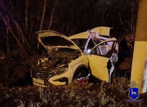 С места ДТП в Тольятти госпитализированы водитель и 27-летняя женщина – пассажир