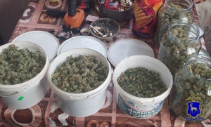 В ходе оперативно-розыскных мероприятий полицейскими обнаружено и изъято более 350 граммов запрещённых веществ.