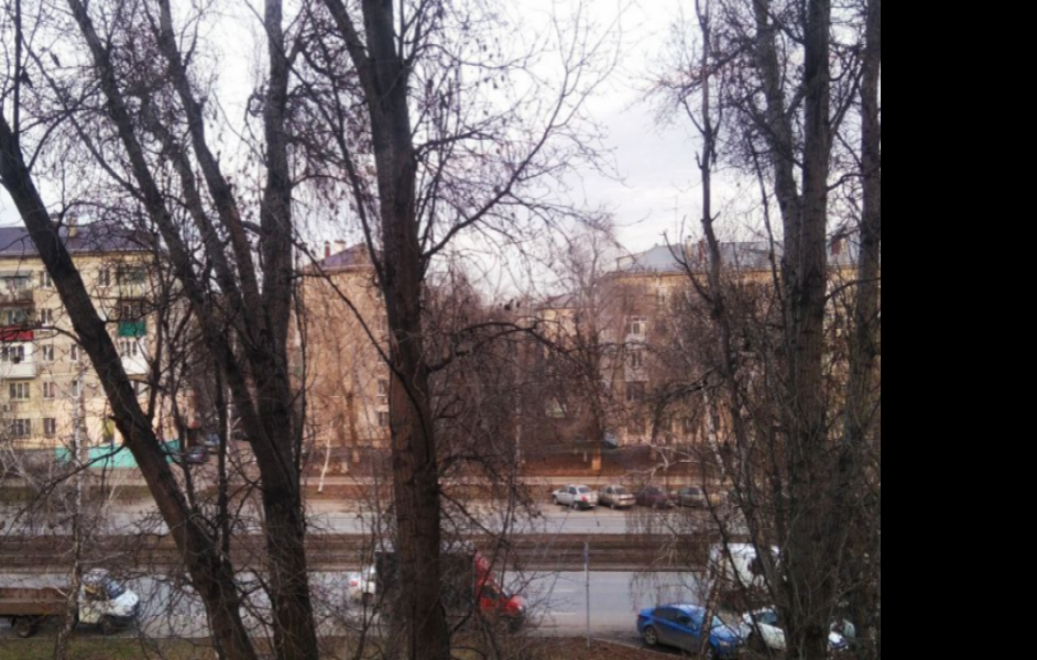 6 декабря в регионе облачно, местами мокрый снег, туман, гололед, до +2°С