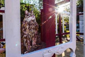 Проект из Самарской области стал призером на Международной Премии #МЫВМЕСТЕ