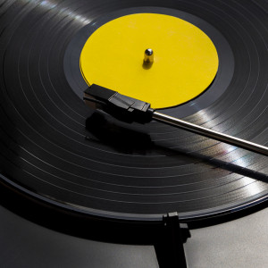 На первом этапе производство начнет выпуск альбомов «Фирмы Мелодия», в дальнейшем планируется расширение линейки и выпуск пластинок по заказам артистов и музыкальных компаний.