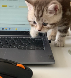 Переход на удаленную работу требует вдумчивого подхода и готовности к изменениям как со стороны компании, так и со стороны сотрудников.