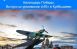 10 декабря в Самарской области празднуется День выпуска первого самолета Ил-2 в городе Куйбышеве в 1941 году.