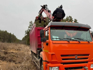 Более 340 тонн мусора вывезено с земель лесного фонда Самарской области
