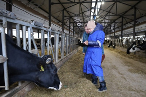 Федеральный проект «Кадры в АПК» в Самарской области: молодые учёные внедряют научные инициативы