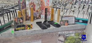 В Самаре полицейские изъяли более 700 единиц пиротехнических изделий