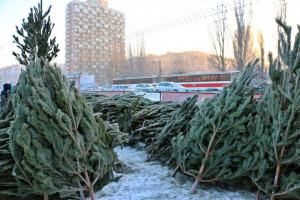 Они будут оформлены в едином праздничном стиле, с яркими вывесками над входом и ограждением по периметру.