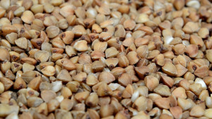 РФ почти вдвое увеличила экспорт гречки в США за сентябрь