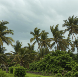 Число жертв тропического шторма на Шри-Ланке достигло 643