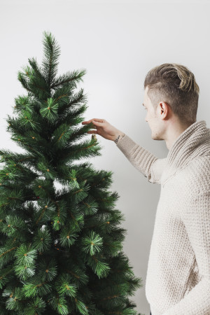 Большинство людей не подозревают, что вместе с лесной красавицей в дом могут проникнуть жуки-короеды, тля и пауки.