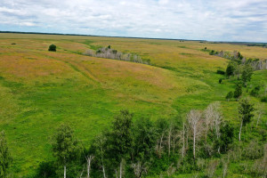 Важно помнить, что за нарушение режима охранных зон действует административная ответственность.