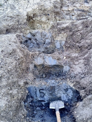 Геологи Самарского политеха обнаружили в губернии ранее неизвестное место горных отложений возрастом около 150 млн лет