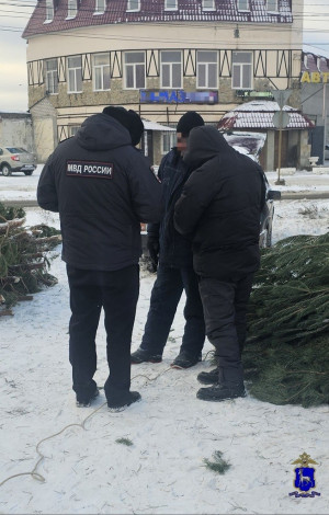 Самарские полицейские пресекли деятельность несанкционированного ёлочного базара