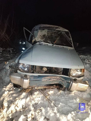 В Борском районе машина вылетела в кювет, пострадали двое