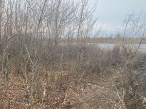 Самарчанка забором перегородила выход к реке