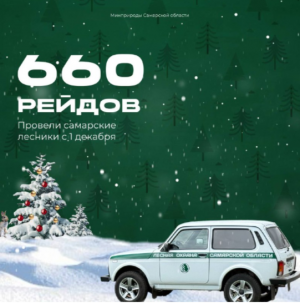 Ежедневно на патрулирование выходят от 16 до 32 мобильных групп. Особый контроль — за лесами возле населенных пунктов и дач.