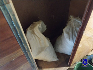 Житель Кошкинского района ответит за незаконное хранение свыше 8 кг конопли и умышленный поджог чужого имущества