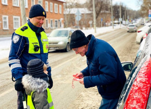 В Самаре сотрудники Госавтоинспекции организовали практическое занятие по безопасности на одной из городских улиц