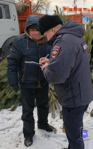 Самарские полицейские снова пресекли деятельность несанкционированного ёлочного базара