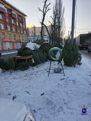 80 ёлок‑нелегалов: самарская полиция накрыла базар у дороги