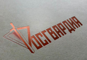 Росгвардия информирует: в новом году изменения ожидают самарских владельцев гражданского оружия