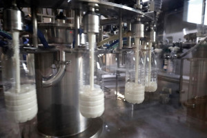 Почти 430 тысяч тонн продукции АПК было экспортировано из Самарской области за 11 месяцев 2025 года.