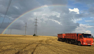 Регион полностью обеспечивает себя зерном и имеет значительный экспортный потенциал.
