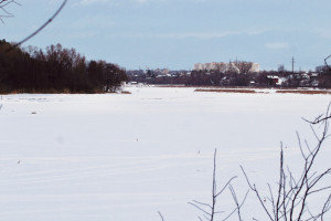 После ледостава и нерестового периода работы будут возобновлены.