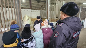 Им показали конюшни, рассказали, как заботятся о животных, чем они питаются, как организован их ежедневный уход и подготовка к службе.
